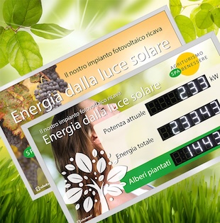 Solar environmental conditions & planted trees