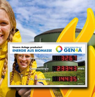 Biomass energy plant